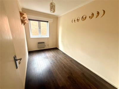 Picture 12